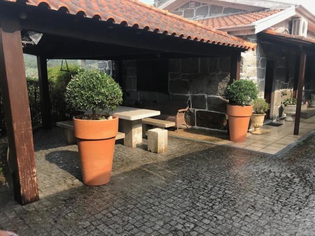 Villa Casa Do Abeto à Carvalhosa Extérieur photo